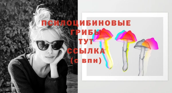 МДПВ Абаза