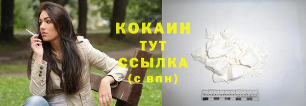МДПВ Абаза