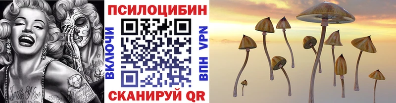 Галлюциногенные грибы Magic Shrooms  Углегорск 